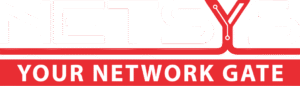 NETSYS-US - logo